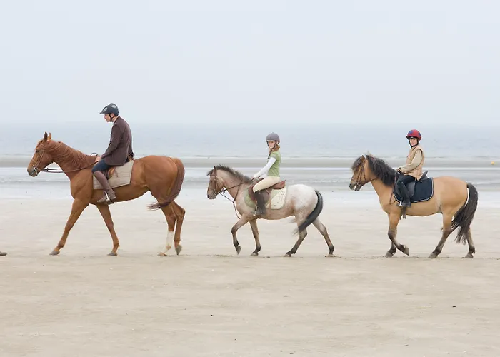 Отель Barriere Le Royal Довиль